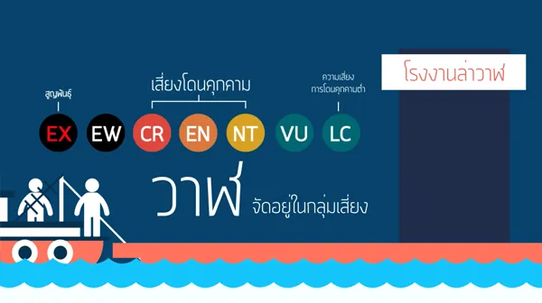 ผลงานผู้เรียน Infographic Motion Graphic ฉากข้อมูลบริการ