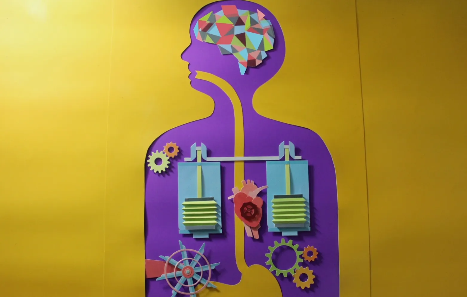 ผลงานผู้เรียน Paper Cut Stop Motion ร่างกายมนุษย์กับกลไก